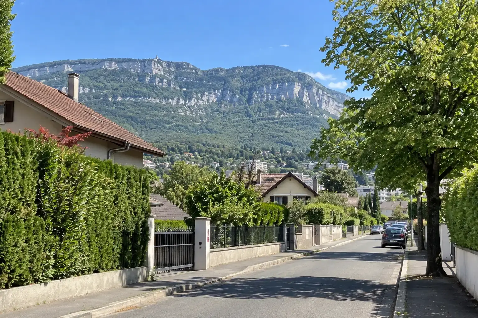 Rue résidentielle d’Annemasse : maisons aux toits de tuiles, hautes haies de thuyas et de lauriers le long des trottoirs, tilleul, falaises du Salève derrière sous un ciel bleu
