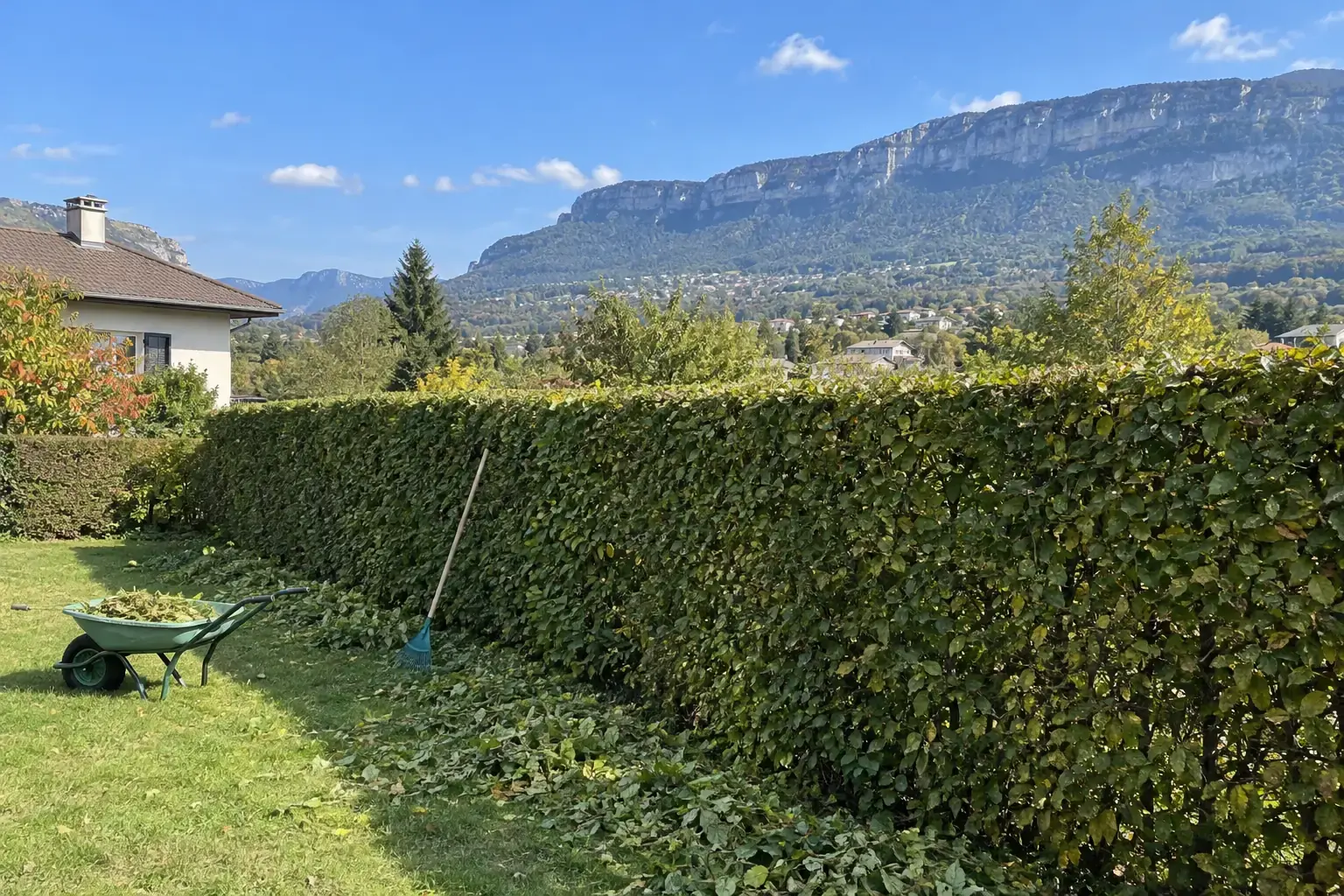 Haie de charmille taillée le long d’une pelouse, brouette et râteau, falaises du Salève au fond sous un ciel bleu