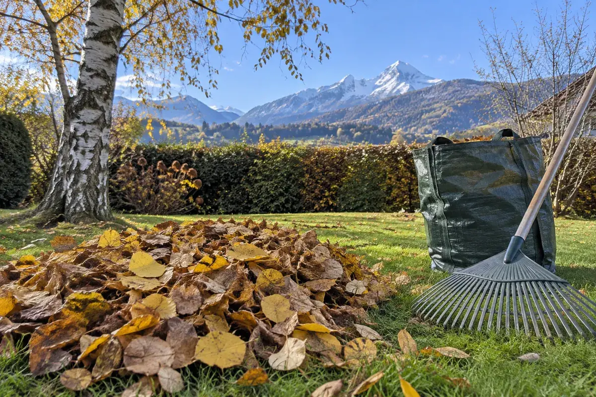 Tas de feuilles jaunes et brunes sur une pelouse, râteau et grand sac de jardin, bouleau et haie derrière, sommets enneigés au loin sous un ciel bleu